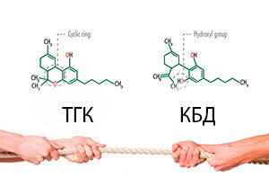 ТГК КБД содействие